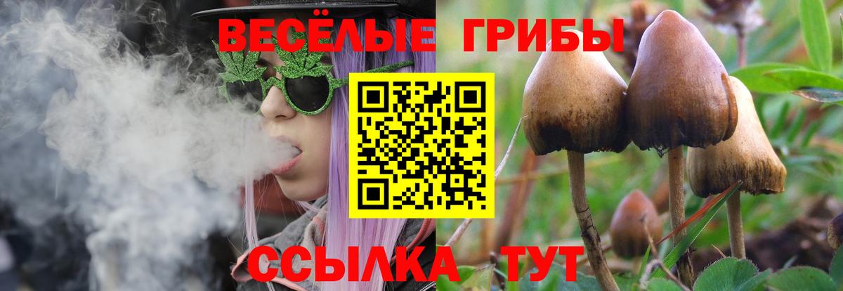Красноармейск  Галлюциногенные грибы прущие грибы  Псилоцибиновые грибы ЛСД  Вход с VPN 